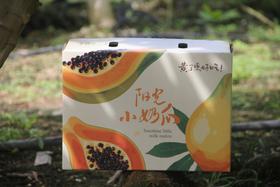 【三亚·预售】树上熟木瓜 海南三亚 5斤礼盒装（2-4颗）