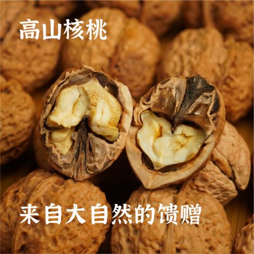云南高山核桃500g*2【产地直发】@谦益 商品图0
