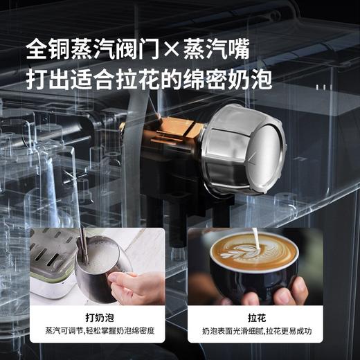 【柏翠迷你家用意式咖啡机】柏翠（petrus） 意式咖啡机15Bar家用商用浓缩小型专业半自动蒸汽一体奶泡机PE3690 绿色 商品图4