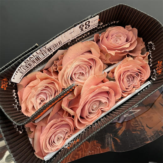 预定厄瓜多尔进口染色Pink ballet 粉红芭蕾玫瑰10支 商品图5