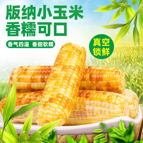 云南西双版纳香糯小玉米