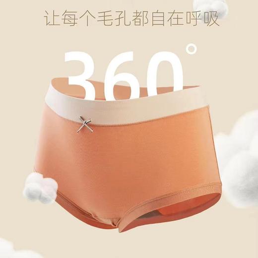 HYY-29967  云朵般柔软透气健康舒适甜系棉女内裤 商品图1
