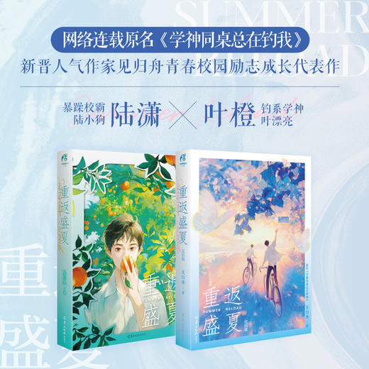 【双男主小说】见归舟：重返盛夏.完结篇(原名《学神同桌总在钓我》)暴躁校霸陆小狗陆潇 × 钓系学神叶漂亮叶橙 商品图8