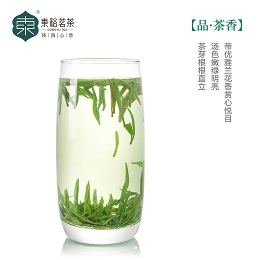 【推荐】东裕茗茶  50克特级仙毫磨砂罐 高山茶园 鲜爽回甘 商品图3