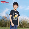 LEVIS 夏 大童小童 短袖T恤 LVB-TE-H852 商品缩略图4