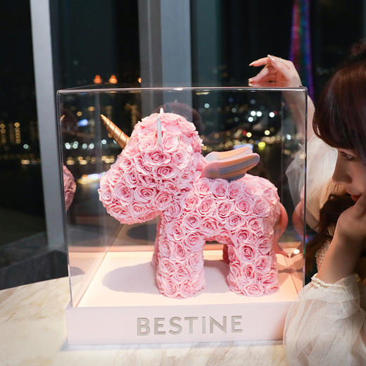 VBEINGS花语 玫瑰独角兽 mini款/标准款 永生花玫瑰花礼盒送女友告白纪念日生日礼物 商品图1