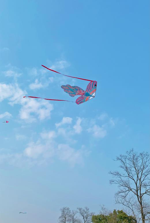 Pavobella设计师品牌风筝更美得户外运动，不昂贵的品质生活 商品图8