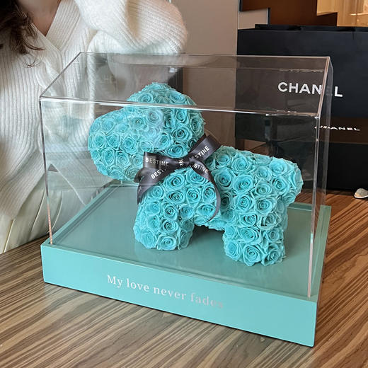 VBEINGS花语 玫瑰狗狗款 商品图4