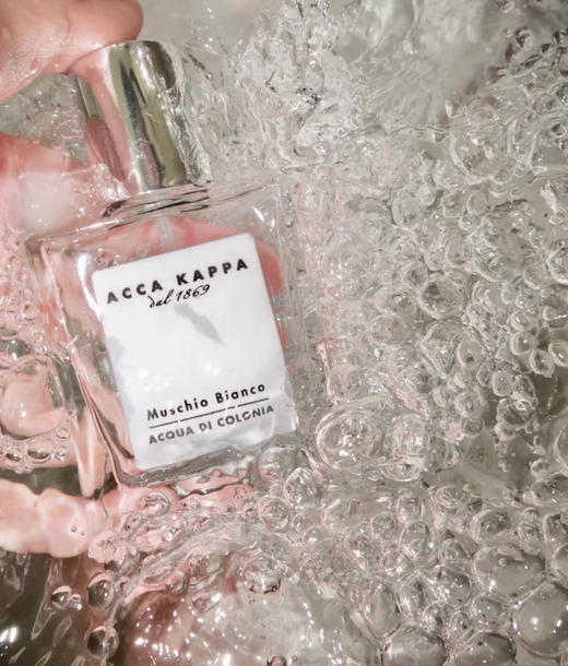 ACCA KAPPA 白苔100ml 商品图2