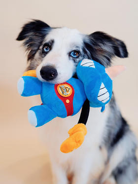 GiGwi贵为宠物用品