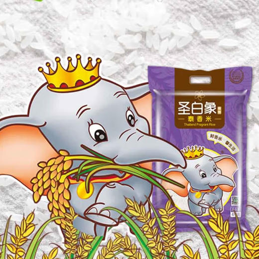 圣白象优质泰香米【25kg】 商品图1