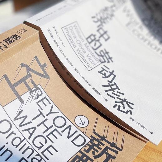 薪酬之上：多元经济中的劳动形态 商品图5