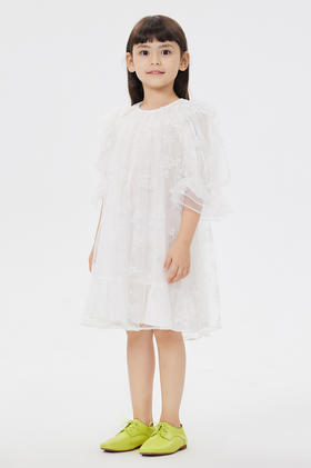 jnby  23年夏款  绣花设计A型细纱短袖连衣裙  1N4G12020