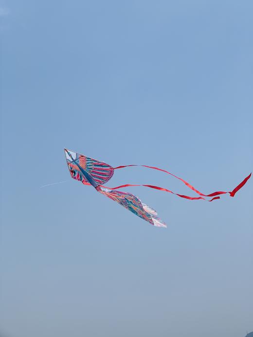 Pavobella设计师品牌风筝更美得户外运动，不昂贵的品质生活 商品图11