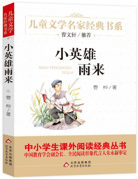小英雄雨来 商品图0