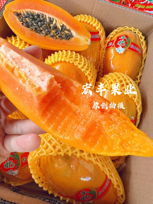 【宏丰精选】 牛奶木瓜  活动价9.9元一斤 商品图10