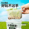 【好种好玩又好吃】水培发芽植物菜菜盒 儿童种植小盆裁生长现察花农幼儿园绿植小学生蔬菜盒 商品缩略图1