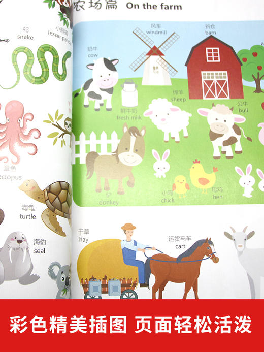 【有声阅读】全6册儿童情景英语单词大书英语绘本分级阅读自然拼读教材有声书彩色儿童英语轻松读英语入门自然拼读学零基础自学书 商品图4