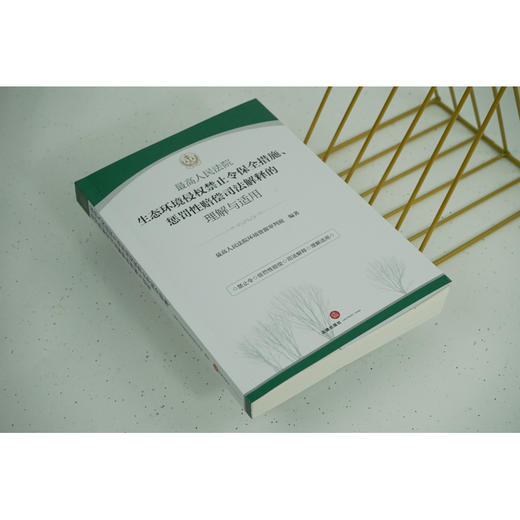 最高人民法院生态环境侵权禁止令保全措施、惩罚性赔偿司法解释的理解与适用  最高人民法院环境资源审判庭编著 商品图2