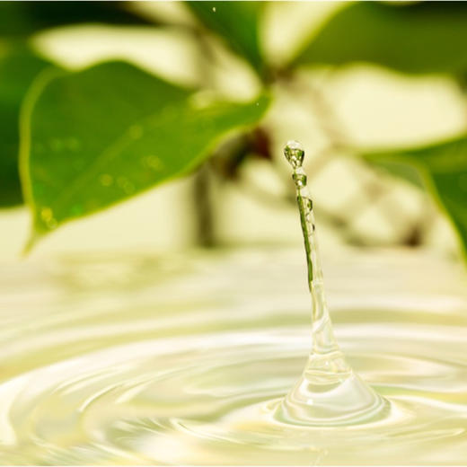 Wellness Through the Seasons——Spring Rise Day Program 商品图0