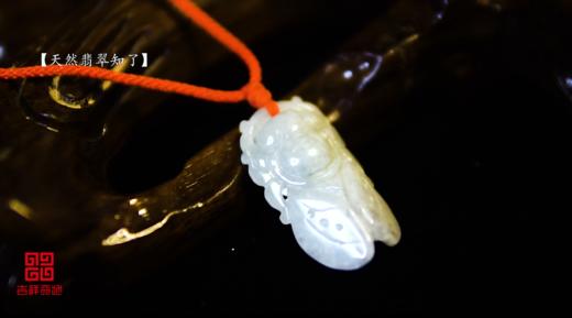 吉祥天地 翡翠知了挂件 商品图0