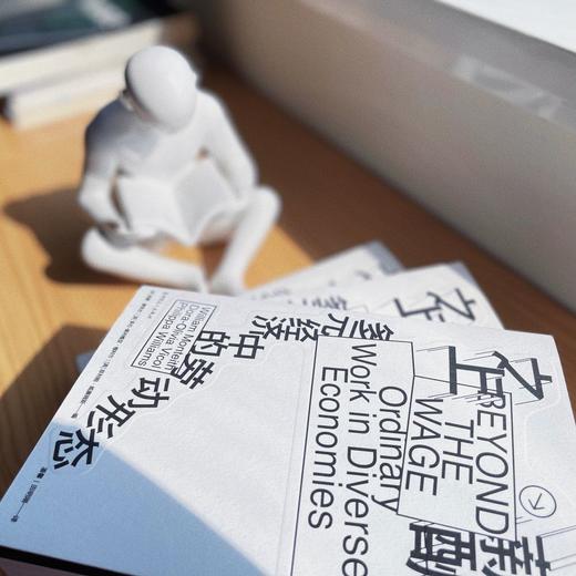 薪酬之上：多元经济中的劳动形态 商品图2