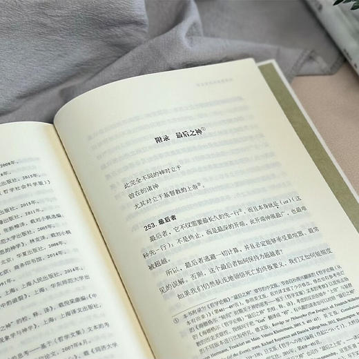 海德格尔的最后之神：基于现象学的未来神学思想（未来哲学丛书） 张静宜 著 商务印书馆 商品图7