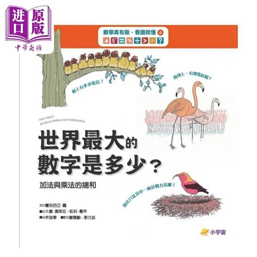 【中商原版】数学真有趣 看图就懂4 世界*大数字是多少 加法与乘法的总和 港台原版 费莉西亚 罗 小宇宙文化 商品图1