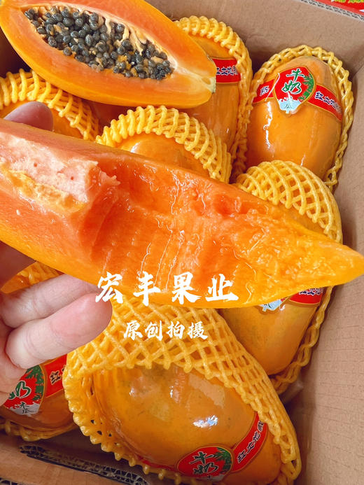 【宏丰精选】 牛奶木瓜  活动价9.9元一斤 商品图11