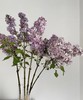 【等待爱情】丁香花  紫色  若干枝/扎 商品缩略图0