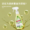 (中欧班列精选2瓶)意大利巴彼丽Babuly重油污清洁喷雾 原装进口抽油烟机清洗剂厨房去油污神器 750ml/瓶 商品缩略图1