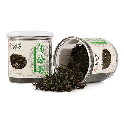 精品罐装 桑叶茶+牛蒡茶+菊苣+蒲公英茶 商品图3