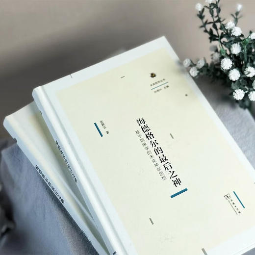 海德格尔的最后之神：基于现象学的未来神学思想（未来哲学丛书） 张静宜 著 商务印书馆 商品图2