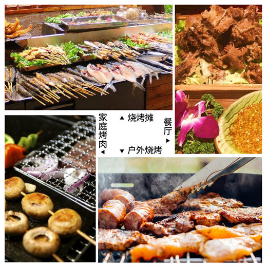 优选齐齐哈尔烤肉料蘸料1kg东北烤肉蘸料干料烧烤料BBQ撒料 商品图2