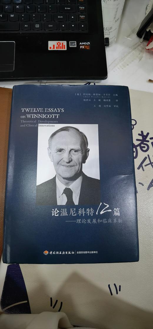 万千心理·论温尼科特12篇：理论发展和临床革新（精装）