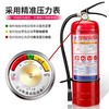 3.13业务员福利—车载灭火器（1KG） 商品缩略图4