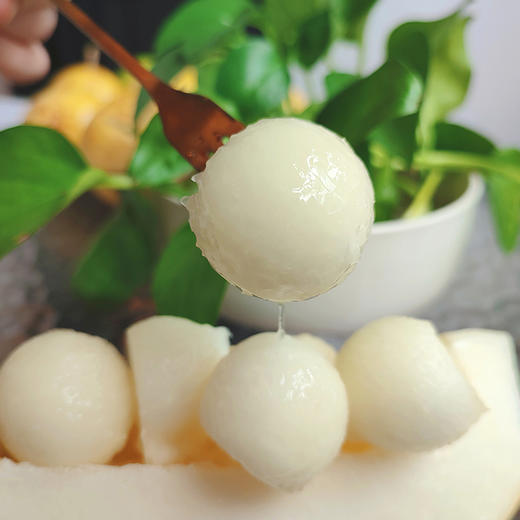 [屁侠推荐] 黄金冰糖蜜瓜 云南/海南产  甜如蜜糖 商品图3