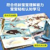 好奇孩子百问百答翻翻书系列-生机勃勃的海洋 2-6岁孩子科普百科绘本 商品缩略图3