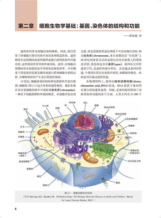 医学遗传学 第6版 卢光琇主译 高度可视化临床医学遗传学方法 基因检测测序技术患者案例疾病诊断治疗人民卫生出版社9787117336376 商品图3