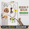 挂门猫玩具 含猫薄荷/虫瘿果 弹力绳 荡秋千 悬挂逗猫棒 商品缩略图0
