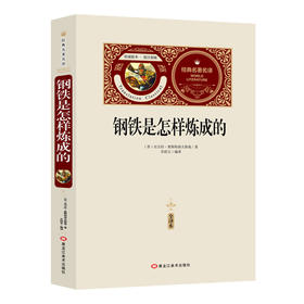 钢铁是怎样炼成的:全译本