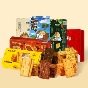 【宅猫日记】岩烧芝士脆饼干提拉米苏黑金九蔬薄脆咸甜味爆款休闲零食