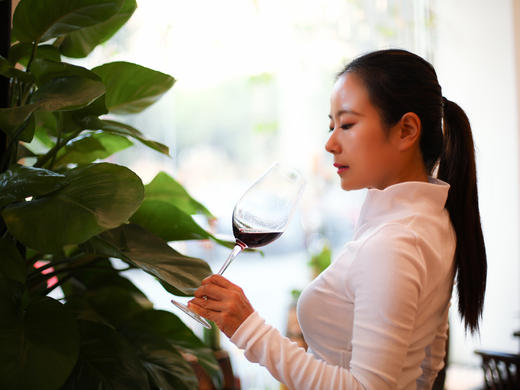 原装法国尚武士红酒红公鸡系列 商品图4