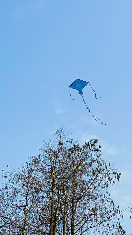 Pavobella设计师品牌风筝更美得户外运动，不昂贵的品质生活 商品图6