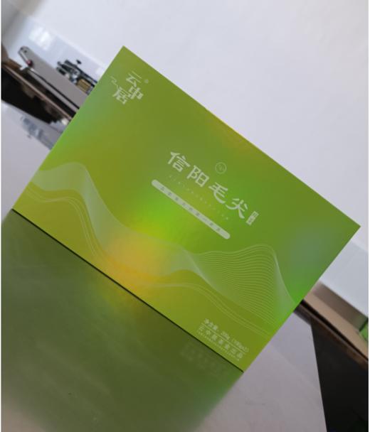 云中居 时代信阳毛尖200g（100g×2） 商品图0