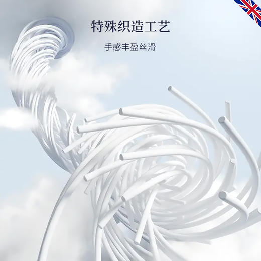 DOWNLAND 丝滑冷感枕套单个装 [福利品] 商品图3