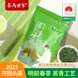 【2023新茶】茶马世家 明前头采一级恩施玉露100克 含硒蒸青绿茶 便携 自饮