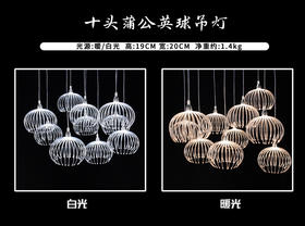10头蒲公英球吊灯串（运费自理）