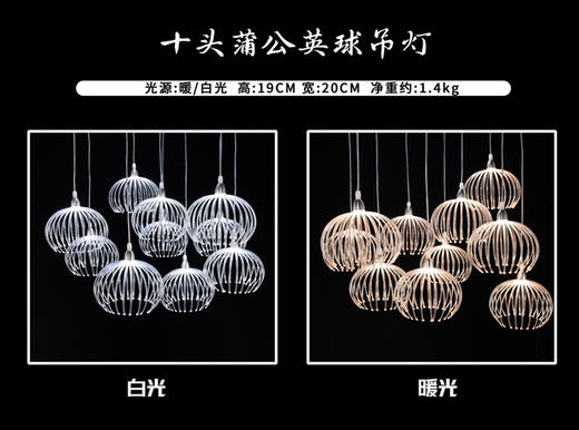 10头蒲公英球吊灯串（运费自理） 商品图0