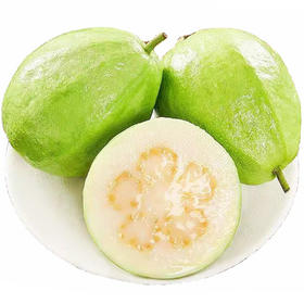 【产地直发】海南奶油芭乐 白心番石榴3/5/8斤精选-GP